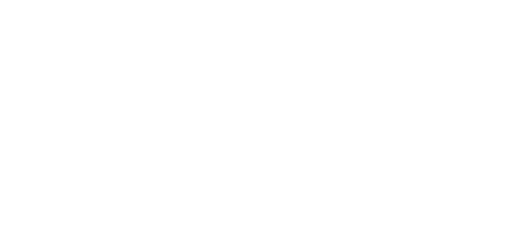 Logo biffidue 02